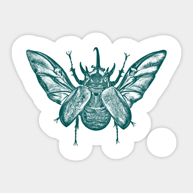 Eupatorus Gracilicornis Sticker by e2equiel